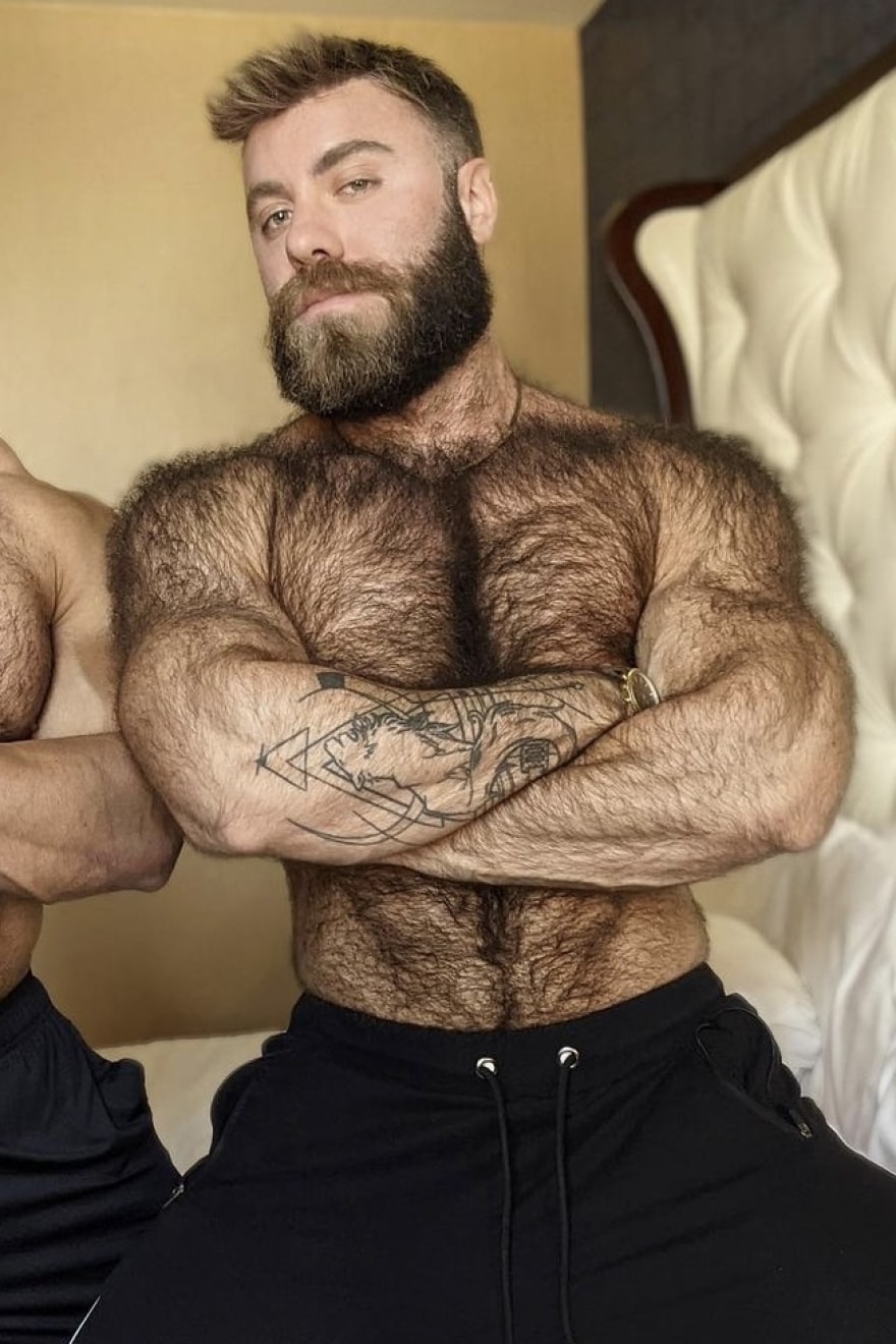 Teddy Bear - mateomuscle.com